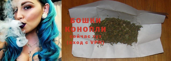 индика Сосновка
