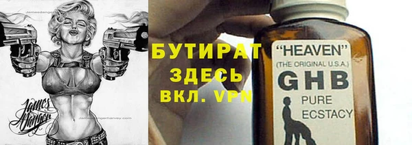 индика Сосновка
