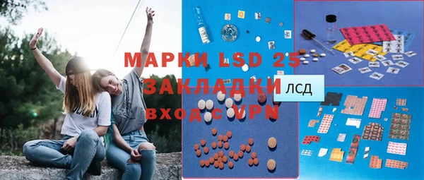 индика Сосновка