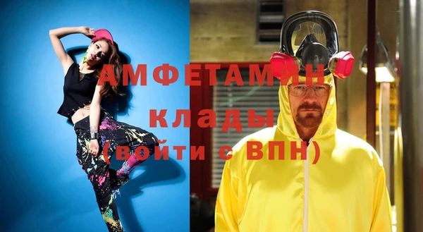 индика Сосновка