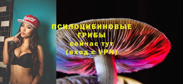 альфа пвп Сосновоборск