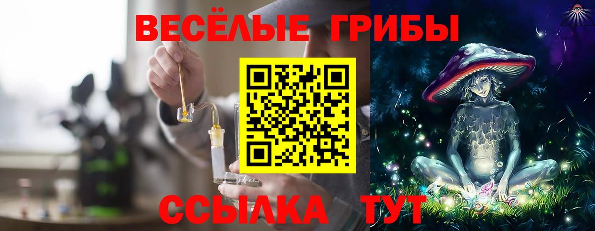 Галлюциногенные грибы MAGIC MUSHROOMS  Вход с VPN  Галлюциногенные грибы прущие грибы  Ростов-на-Дону 